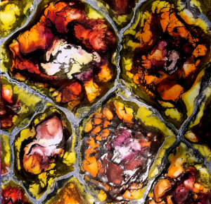 Bienenwabe - Beecomb